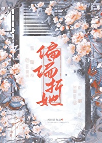 偏偏折她小说讲的什么