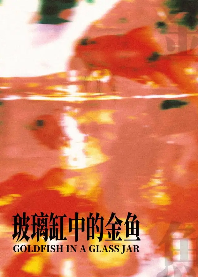 玻璃缸中的金鱼叫什么