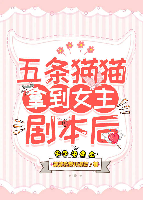 五条猫是什么猫