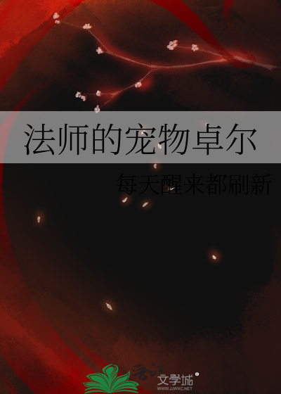 迷雾大陆 法师 宠物