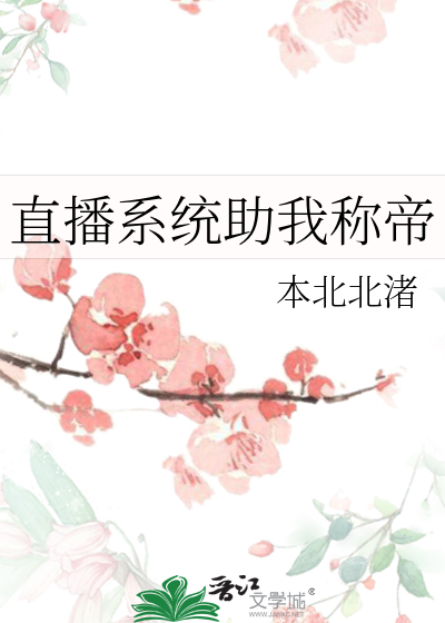 直播间成为榜一大哥的小说
