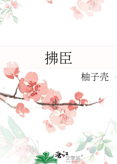 拂臣子教师讲梅花易数是几期