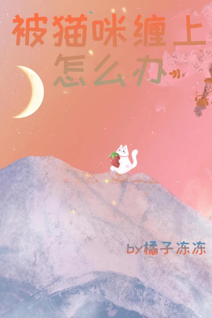 猫咪一直缠着我怎么办