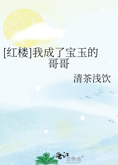 红楼我成了宝玉的哥哥清茶浅饮小说