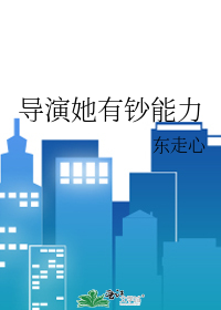 导演她有钞能力小说简介