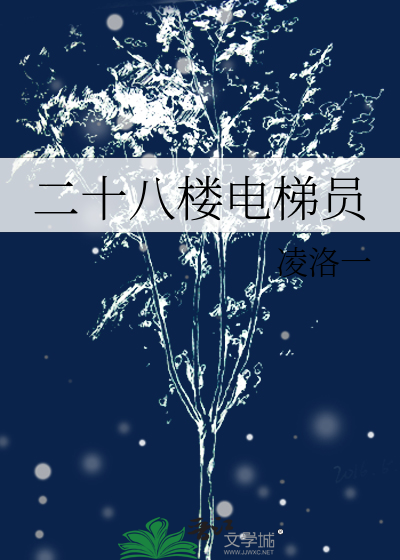 二十八层电梯多少价格