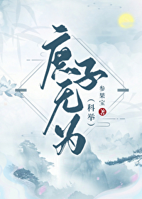 庶子无为(科举)23章