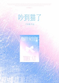 吵到猫了怎么办