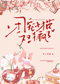 团宠小娇包qq阅读
