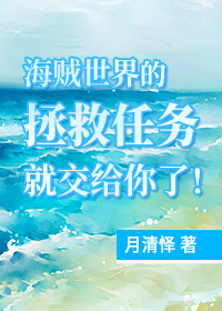 海贼世界攻略