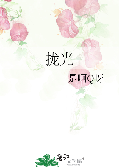 拢光纤