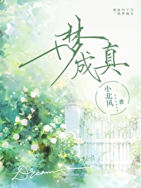 什么梦成真