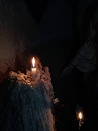 二十一岁齐又齐打一正确生肖