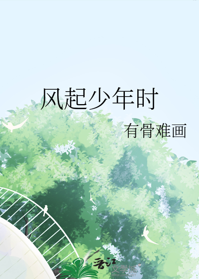 起风了少年