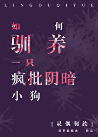 灵偶契约讲解