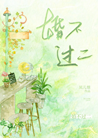 婚过不爱免费读