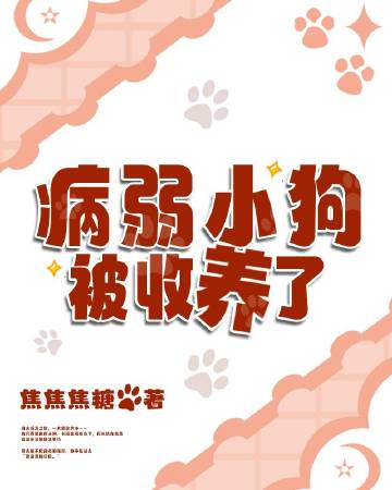 被收养的狗