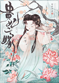 贵妃二嫁txt