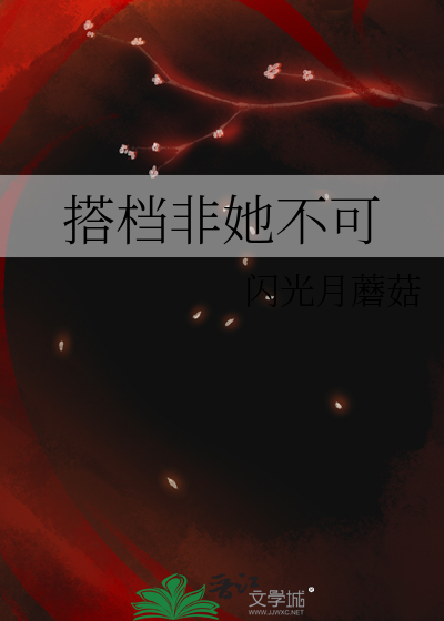 搭档非她不可百度云