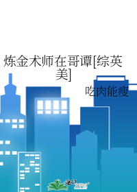 炼金术师 小说