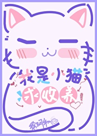 我是小猫求领养怎么办