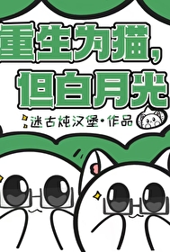 重生为猫叫黑炭