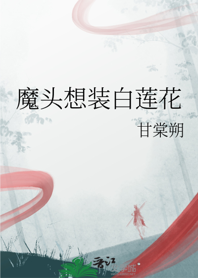 别装可怜