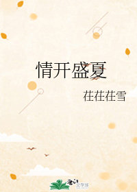 半开盛夏电视剧