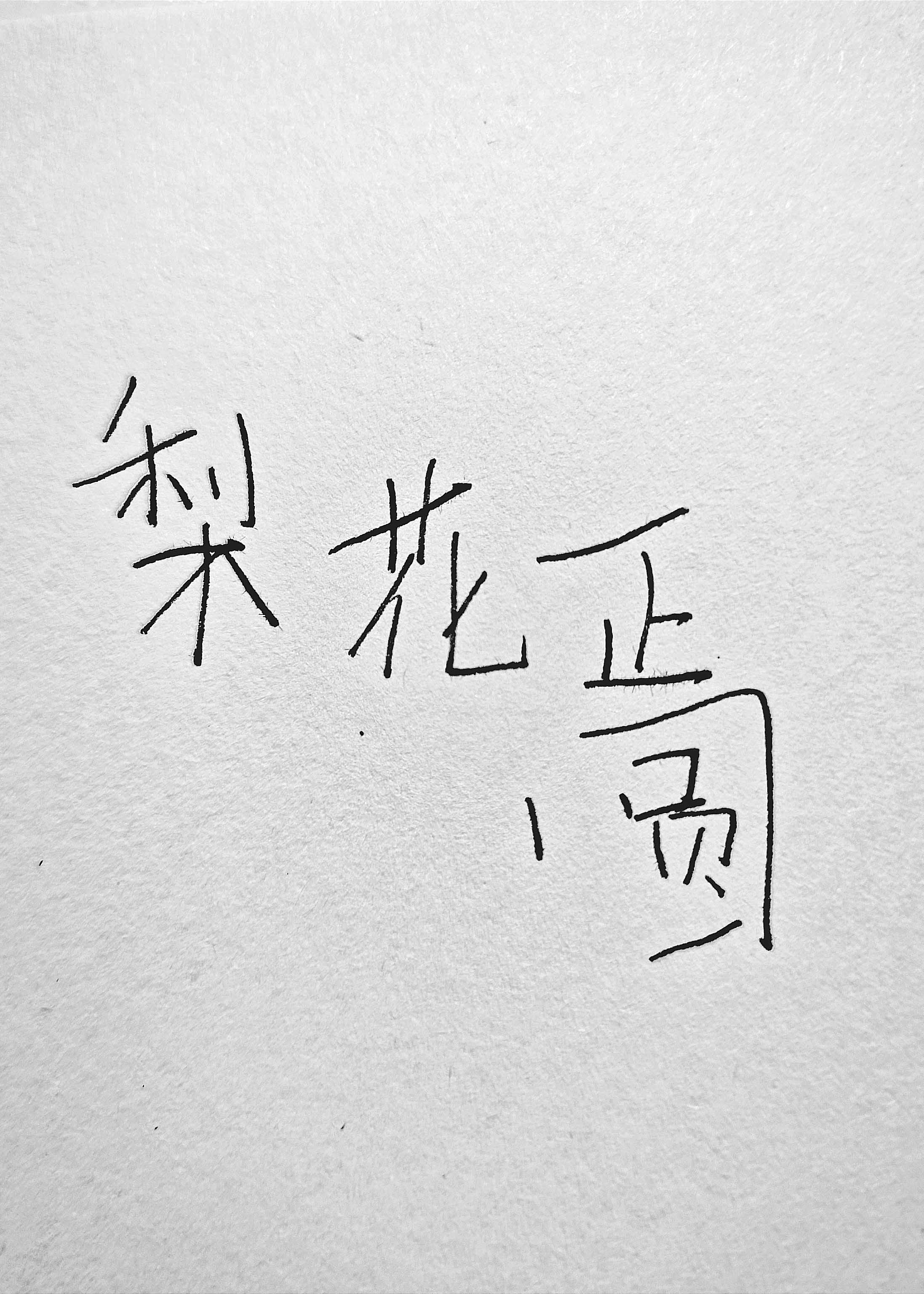 梨花正圆by我将在今天吻你讲的什么