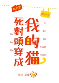 死对头成了我的猫六零 小说