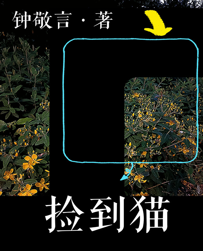 论如何养成一只猫系男友