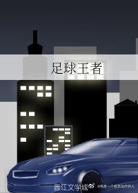 足球王者作者:世间五彩