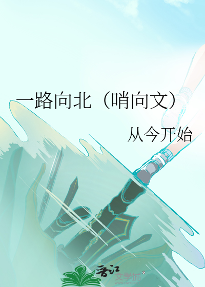 一路向北小说高干