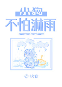 狗狗宁愿淋雨也不进窝