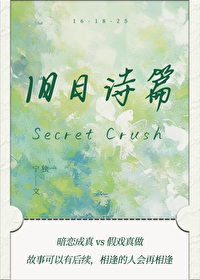 旧日篇章小说百度百科