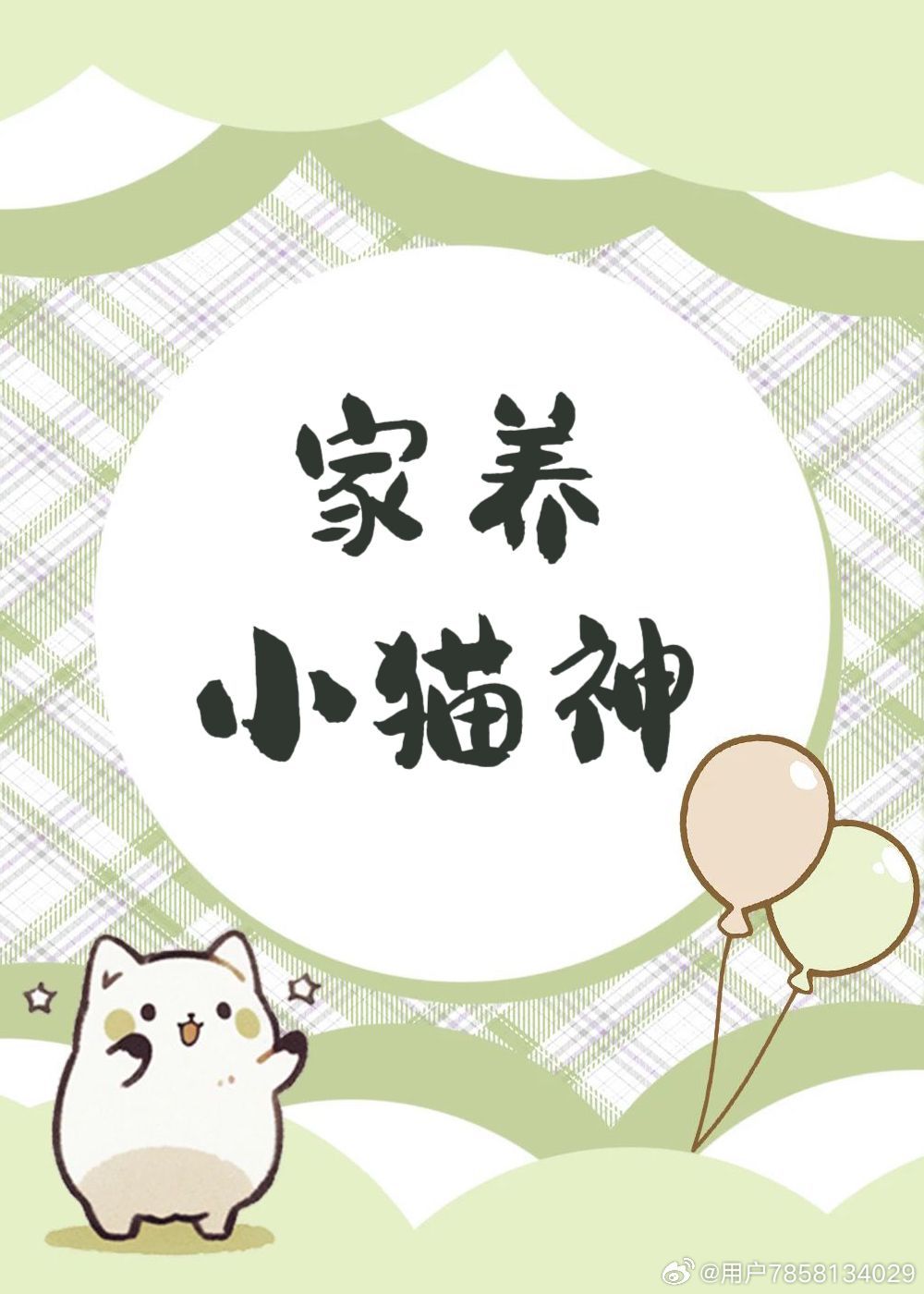 家养小猫咪