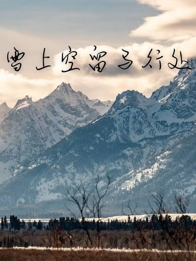 雪上空留马行处上一句