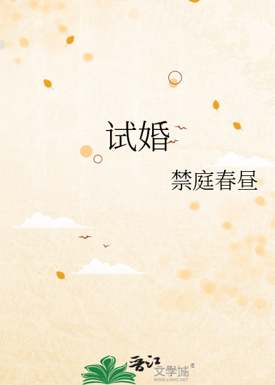 试婚小说