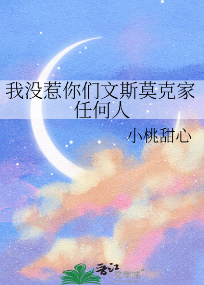 文斯莫克家族什么水平