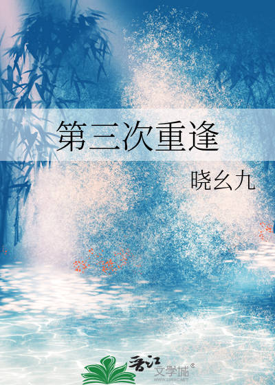 第三次重逢小说