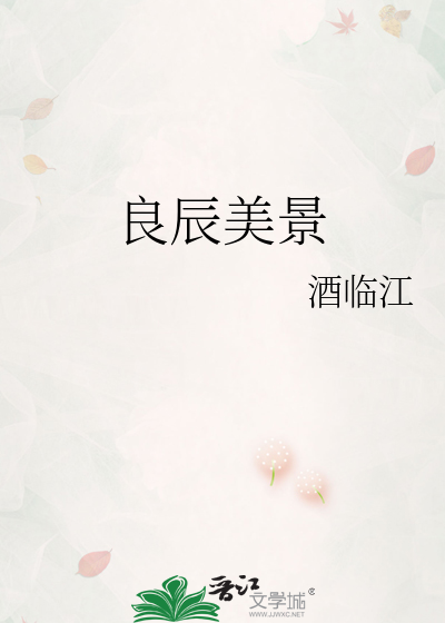 良辰美景小说