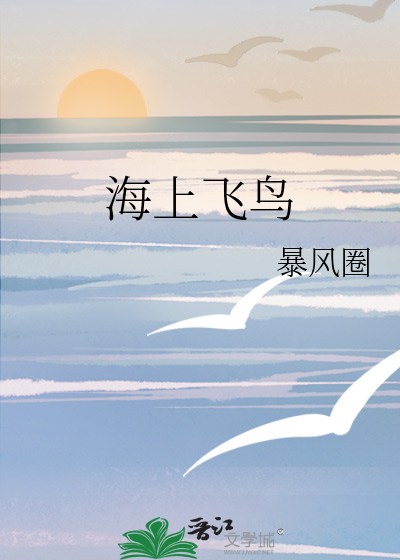 海上飞鸟图片