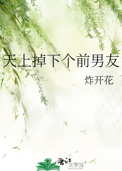 天上掉下个男朋友小说
