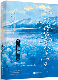 我的城市不下雪的短句