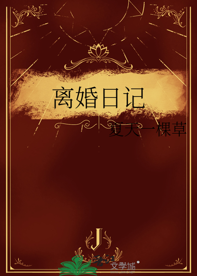 离婚日记小说
