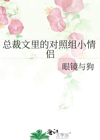 总裁文里面有几对cp的小说