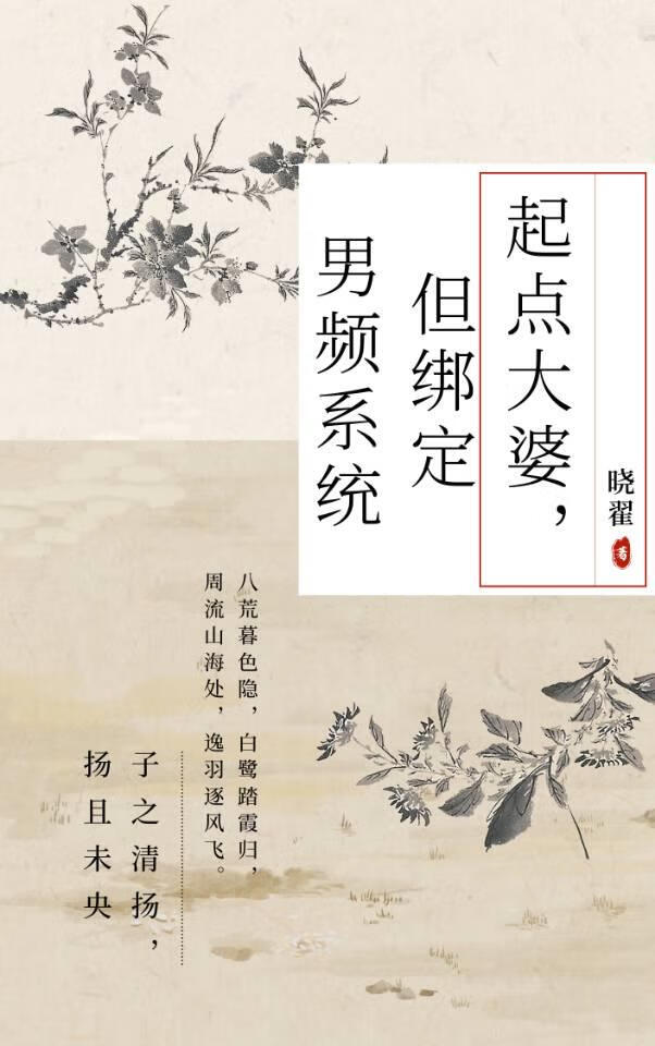 起点是男频吗