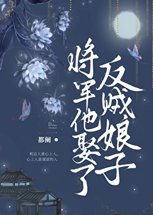将军娶了敌国公主的小说