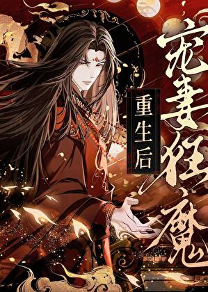 宠妻狂魔重生后小说