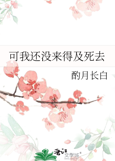 可我还没来得及死去歌词